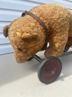 Rare Early Antique Original Steiff Teddy Bear