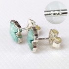 Tous Earrings Silver Bear Heart Design Elegant Jewelry Accessories F141