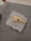 Vintage Bagley Db3 Crankbait New Super Rare Htf Parakeet One Hook Mark