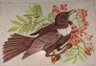 Audubon Style Bird Needlepoint              18 Count    9    W  X 6    H