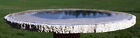 Sis  Gorgeous Star Field 14  Petrified Palm Wood Slab - Sumatra Fossil Palm Slab