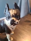 Vintage antique Cast Iron Boston Terrier French Bulldog Bank 5  Tall