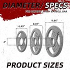 70lb 2  Cast Iron 3-grip Weight Plates Set  Light Gray