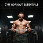 Olympic Barbell Set Dumbbell Weight Set 55lb Curl Bar For Gym Lifting Exercise