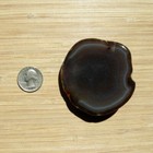 Agate Geode Rock Slice Polished Display Stone Dark Brown Crystal Gray Banding