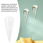 Circular Cone Wall Hanging Vase  Glass Plant Propagation Planter For Succulen   