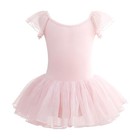 Girls  Ballet Leotard With Tutu Skirt - Toddler Flutter Wing Sleeve Dance Dress
