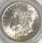 1884 O Morgan  pcsgs Ms 64     crisp White  Obv Toning mirrors Almost Pl Rev       