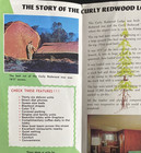 Vintage 1979 Curly Redwood Lodge Crescent City  Ca Hotel Brochure Ntl Redwood Pk