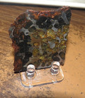 45 Gm Sericho Pallasite Meteorite Slice   Kenya  Olivine  Stand