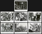 Excalibur John Boorman Nigel Terry Nicol Williamson Lot Of 11 Original Photos