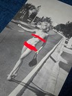 Madonna Erotica   Sex Book Hitchhiking Promo Era Poster  England 1992 24x36  
