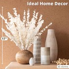 16 Pcs Bleached Preserved Eucalyptus Stems - 16   Naturally Cream White Prese   