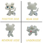 Cute Action Figures Pet Shop Lps Collie  363 Gray Dog With Lps Accessories