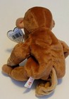 Ty Beanie Baby Bongo The Monkey 8  20cm New Mwmt Rare Tan Tail   Free Ty Card