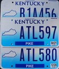One Random Kentucky License Plate - Bluegrass State Flat License Plate Tags