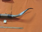 Mounted Steer Bull  Horns  5  1  Tip To Tip  406 Bull Horn Longhorn