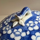 Chinese Qing Dynasty Blue And White Porcelain Water Jar W box