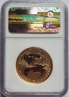 2006 W Reverse Proof  50 Gold American Eagle Coin Ngc Pf70 1 Oz 20th Anniversary