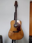 Washburn Dk20t Acoustic Electric Guitar Natural Finish W soft Case Used