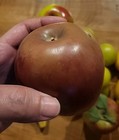 Lot Of Faux Fake Artificial Fruit Home Decor Staging Props Realistic Display