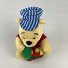 Disney Winnie The Pooh Conductor 6  Plush Bean Bag Stuffed Animal Train Toy