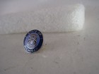 Michigan    State Seal Cloisonne  Logo  Lapel Pin  3ag5  6 