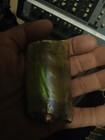 Fantastic Ammonite baculite  Ammolite  Opalized  Rare Gemstone