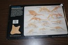 Parasaurolophus Prehistoric Museum Wood Model Dinosaur Small World Toys