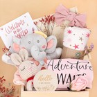 Baby Girl Gifts  Baby Girl Shower Gifts  Newborn Baby Girl Gift Baskets