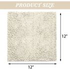 Non-slip Bath Rug 12x12 Inches Extra Soft Microfiber Bedroom Shag Carpet