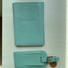 Graphic Image Blue Leather Passport Holder Wallet organizer With Luggage Tag