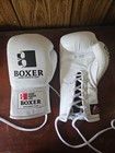 Isami Lace Up Pro Boxing Glvoes 8 Oz White