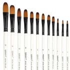 Dainayw 12 Pcs Filbert Paint Brushes Set  Artist Brush For Acrylic Oil Waterc   