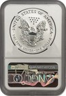 2006-p Ngc Pf70 Reverse Proof American Silver Eagle From 20th Anniversary Set