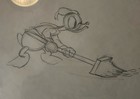 Disney Donald Duck Original Animation Sketch  4