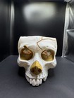 Frankenstein 2025 Netflix Inspired Popcorn Bucket Guillermo Del Toro 3d Printed
