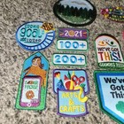21 Girl Scout Patches Crest Badges Cookies Self Defense Artts Crafts 