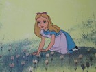 Alice In Wonderland 1970 s Educational Film Cel Disney Animation
