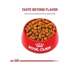 Royal Canin Breed Health Nutrition German Shepherd Adult 5  Dry Dog Food  28-lb