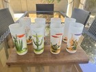 1950s Blakeley Arizona Cactus Glasses Set Of 8     Vintage Oil Gas Promo