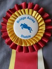 Added To  Bridge Acres Stable Hunter Jumper Horse Show Ribbons Awards Equestrian