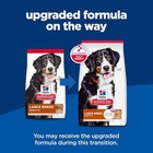 Hill s Science Diet Adult Large Breed Lamb Meal   Brown Rice Dry Dog Food 33 Lb