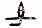Rjs Sfi 16 1 Elite 4 Point Cam Lock Racing Harness Belt Black Red Stripe 1099801