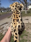 Toys    r    Us Animal Alley 18  Plush Jaguar Leopard Cheetah Stuffed Animal 2000