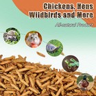 5 44lbs Premium Natural Dried Black Soldier Fly Larvae For Chickens Bird Hamster