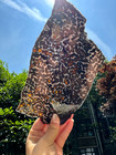 179 31grams Sericho Pallasite Meteorite Slice Specimen With Certificate