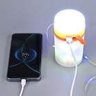 10m Solar Led Camping String Light Portable Stowable Retractable Fairy Xmas Lamp