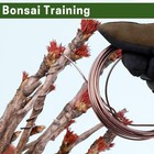 Bonsai Training Wire Set Of 4 - Total 128 Feet 32 Feet Each Size  3 Size - 1 0mm