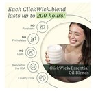 Lifelines Flameless Candle Diffuser- Frost Charcoal New